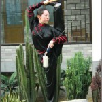 initiation wushu à toulouse (photo maitresse Fu Yang)
